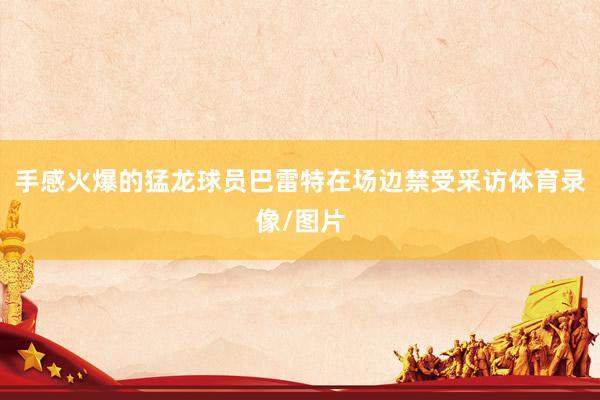 手感火爆的猛龙球员巴雷特在场边禁受采访体育录像/图片