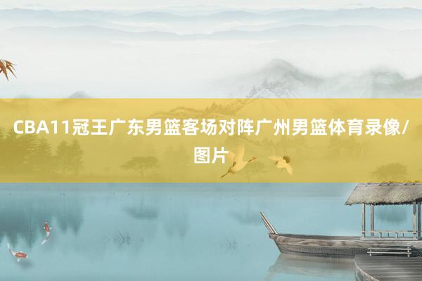 CBA11冠王广东男篮客场对阵广州男篮体育录像/图片