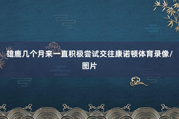 雄鹿几个月来一直积极尝试交往康诺顿体育录像/图片