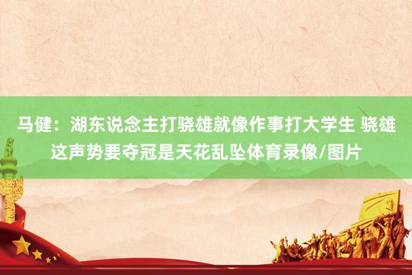 马健：湖东说念主打骁雄就像作事打大学生 骁雄这声势要夺冠是天花乱坠体育录像/图片