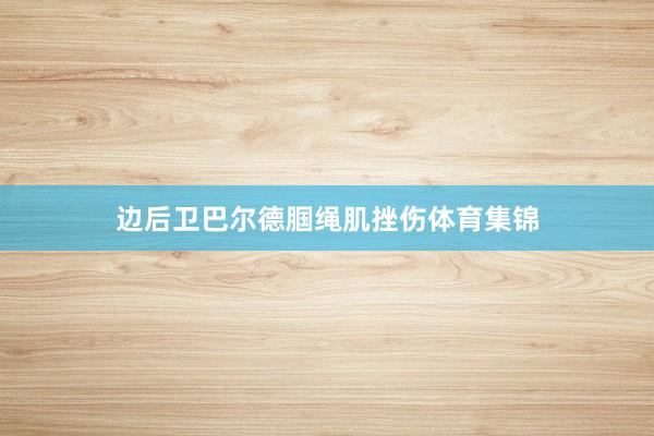 边后卫巴尔德腘绳肌挫伤体育集锦