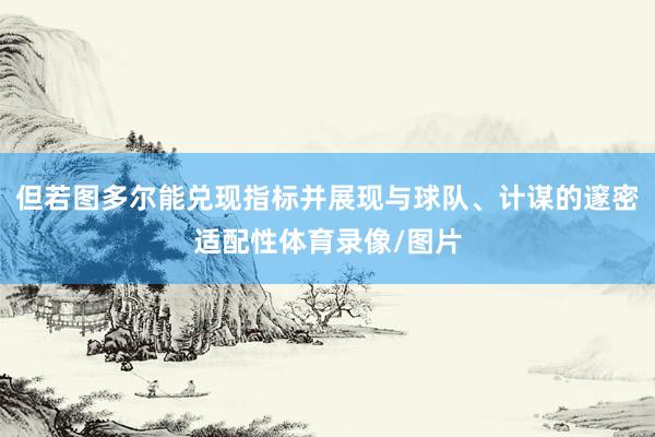 但若图多尔能兑现指标并展现与球队、计谋的邃密适配性体育录像/图片