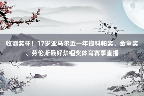 收割奖杯！17岁亚马尔近一年揽科帕奖、金童奖、劳伦斯最好禁锢奖体育赛事直播