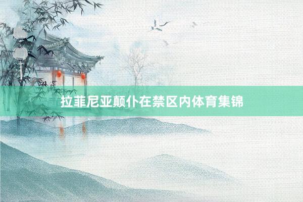 拉菲尼亚颠仆在禁区内体育集锦