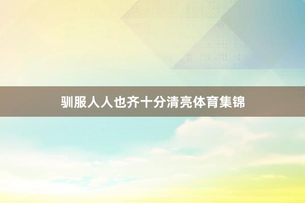 驯服人人也齐十分清亮体育集锦