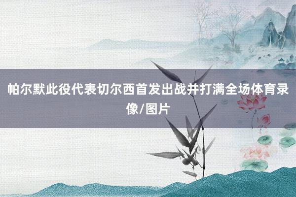 帕尔默此役代表切尔西首发出战并打满全场体育录像/图片