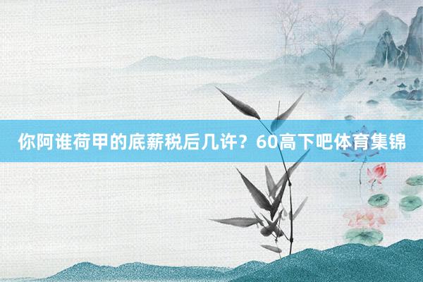 你阿谁荷甲的底薪税后几许？60高下吧体育集锦