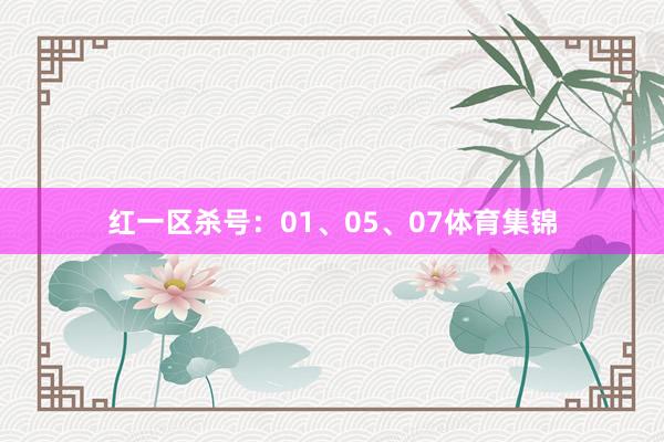 红一区杀号：01、05、07体育集锦