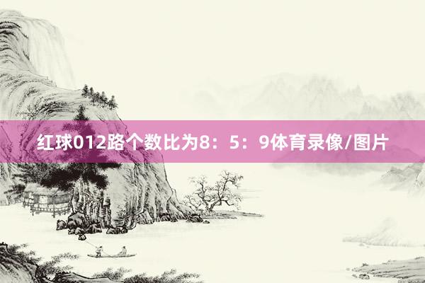 红球012路个数比为8：5：9体育录像/图片