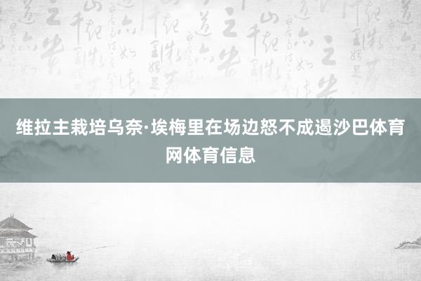维拉主栽培乌奈·埃梅里在场边怒不成遏沙巴体育网体育信息