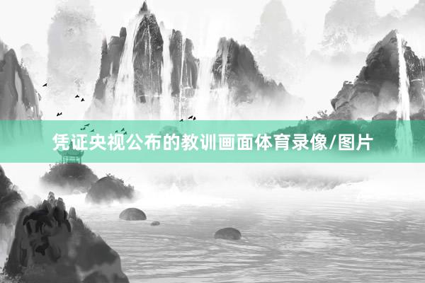 凭证央视公布的教训画面体育录像/图片