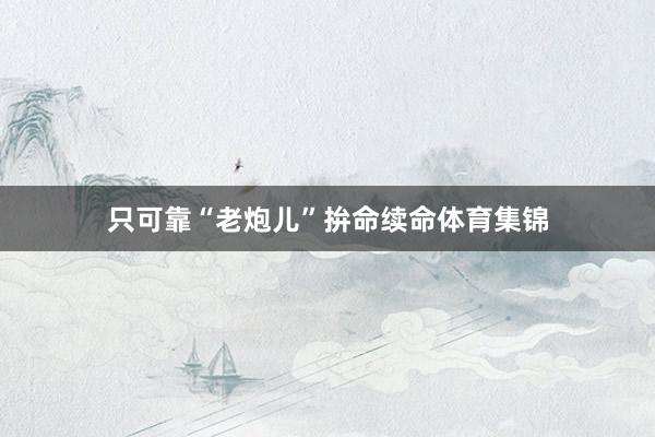 只可靠“老炮儿”拚命续命体育集锦