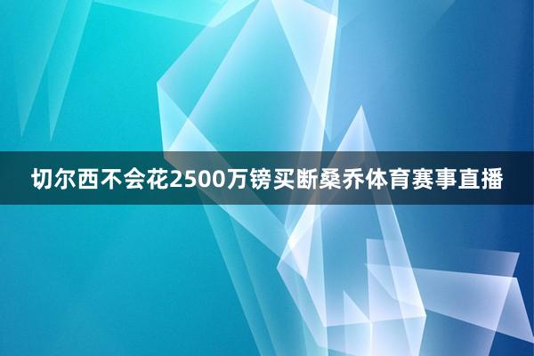 切尔西不会花2500万镑买断桑乔体育赛事直播
