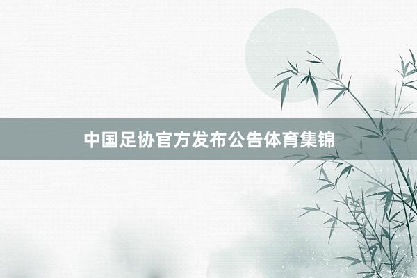中国足协官方发布公告体育集锦