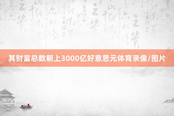 其财富总数朝上3000亿好意思元体育录像/图片
