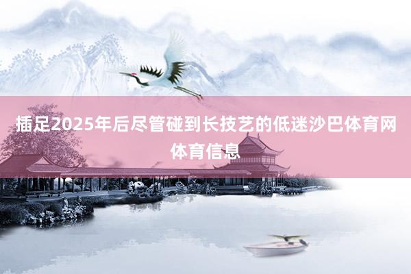 插足2025年后尽管碰到长技艺的低迷沙巴体育网体育信息