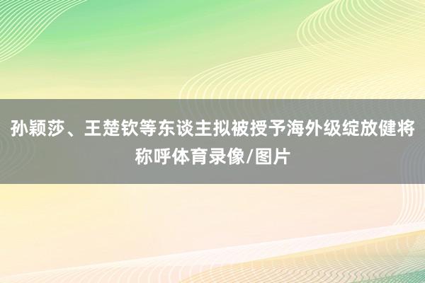 孙颖莎、王楚钦等东谈主拟被授予海外级绽放健将称呼体育录像/图片