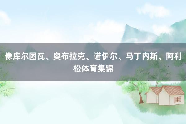 像库尔图瓦、奥布拉克、诺伊尔、马丁内斯、阿利松体育集锦