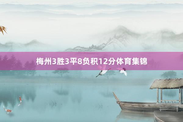 梅州3胜3平8负积12分体育集锦