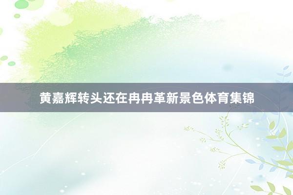 黄嘉辉转头还在冉冉革新景色体育集锦