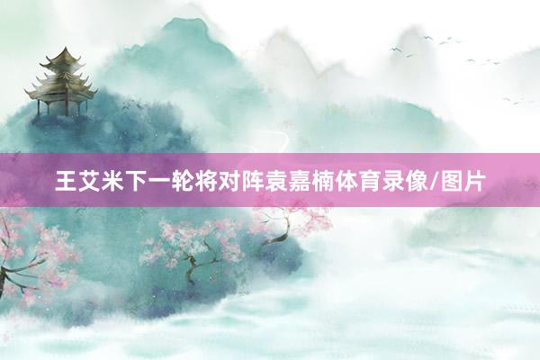 王艾米下一轮将对阵袁嘉楠体育录像/图片