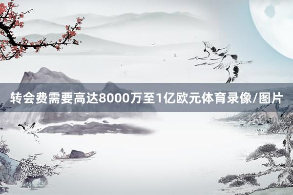 转会费需要高达8000万至1亿欧元体育录像/图片