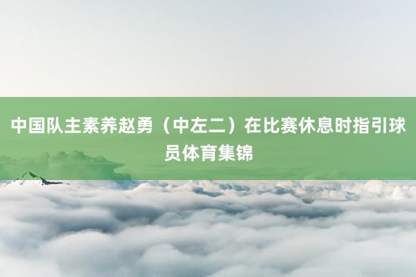 中国队主素养赵勇（中左二）在比赛休息时指引球员体育集锦