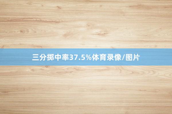 三分掷中率37.5%体育录像/图片