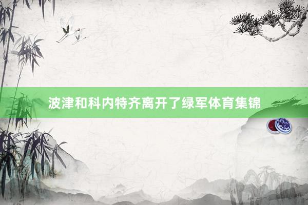 波津和科内特齐离开了绿军体育集锦