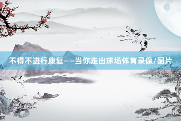 不得不进行康复——当你走出球场体育录像/图片