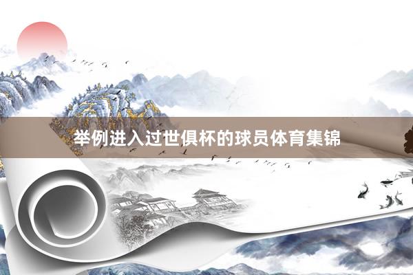 举例进入过世俱杯的球员体育集锦