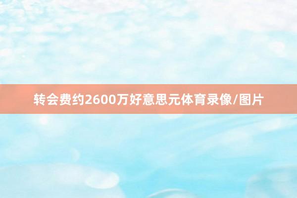 转会费约2600万好意思元体育录像/图片