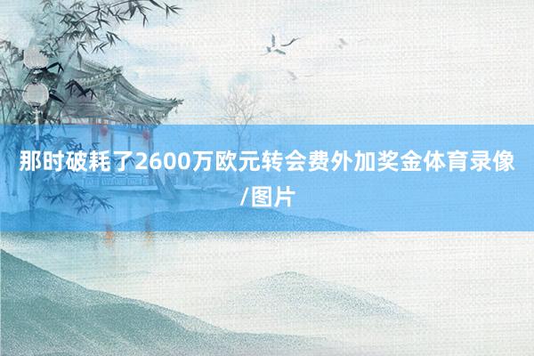 那时破耗了2600万欧元转会费外加奖金体育录像/图片
