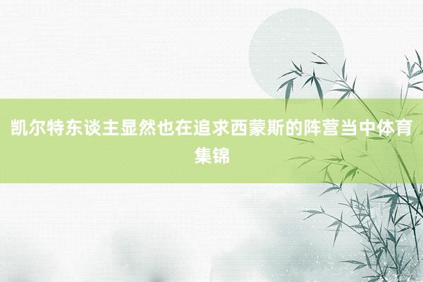 凯尔特东谈主显然也在追求西蒙斯的阵营当中体育集锦