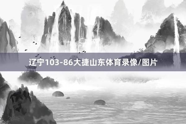 辽宁103-86大捷山东体育录像/图片
