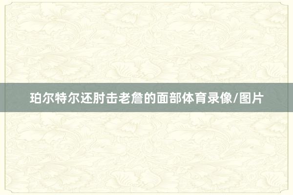 珀尔特尔还肘击老詹的面部体育录像/图片