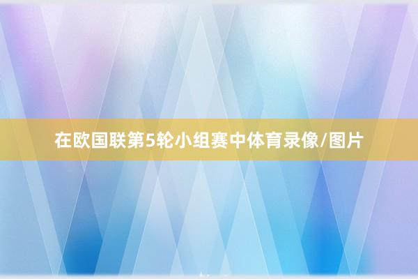 在欧国联第5轮小组赛中体育录像/图片