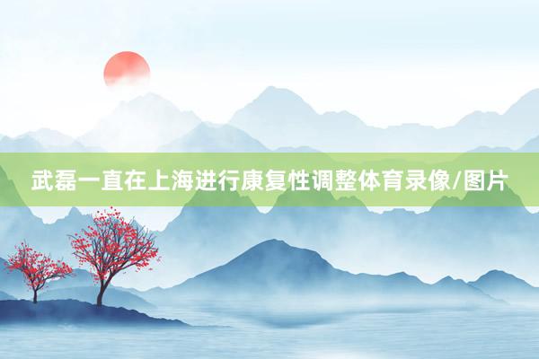 武磊一直在上海进行康复性调整体育录像/图片