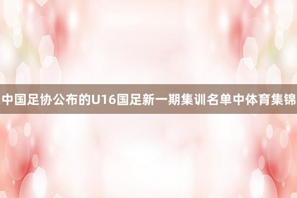 中国足协公布的U16国足新一期集训名单中体育集锦