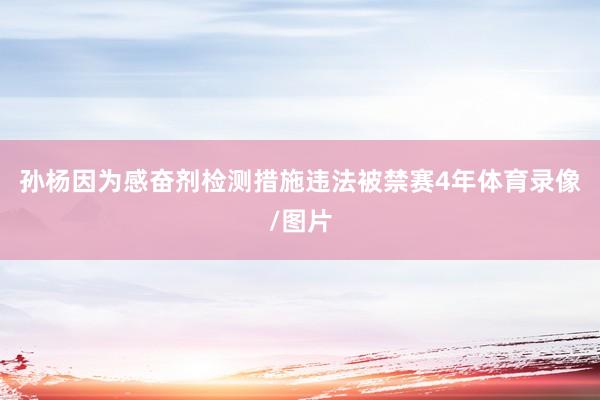 孙杨因为感奋剂检测措施违法被禁赛4年体育录像/图片