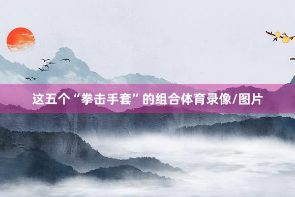 这五个“拳击手套”的组合体育录像/图片