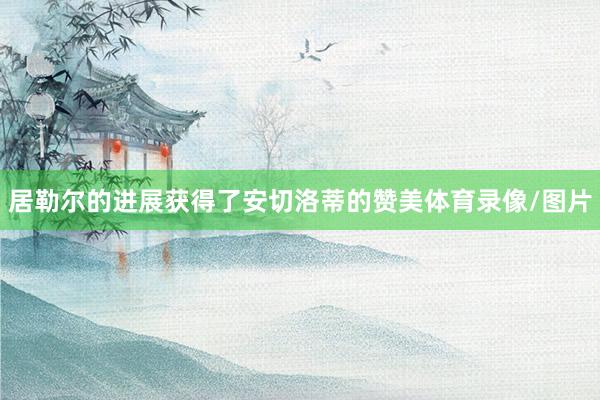 居勒尔的进展获得了安切洛蒂的赞美体育录像/图片