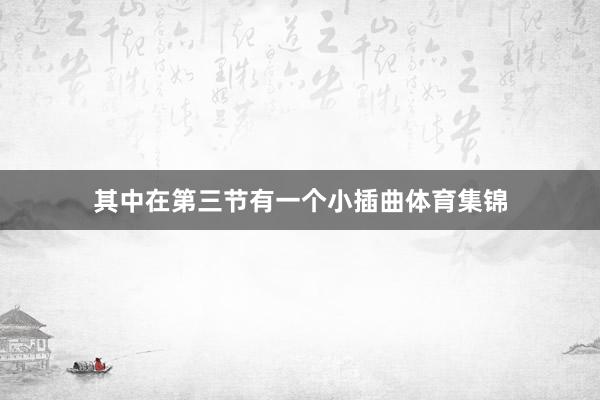 其中在第三节有一个小插曲体育集锦