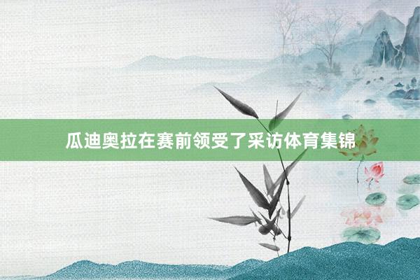 瓜迪奥拉在赛前领受了采访体育集锦
