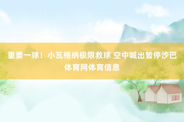 重要一球！小瓦格纳极限救球 空中喊出暂停沙巴体育网体育信息