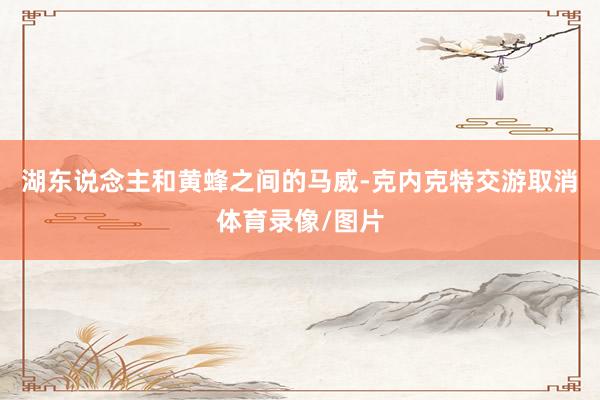湖东说念主和黄蜂之间的马威-克内克特交游取消体育录像/图片
