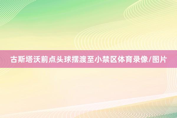 古斯塔沃前点头球摆渡至小禁区体育录像/图片