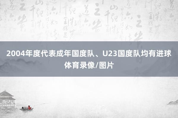 2004年度代表成年国度队、U23国度队均有进球体育录像/图片
