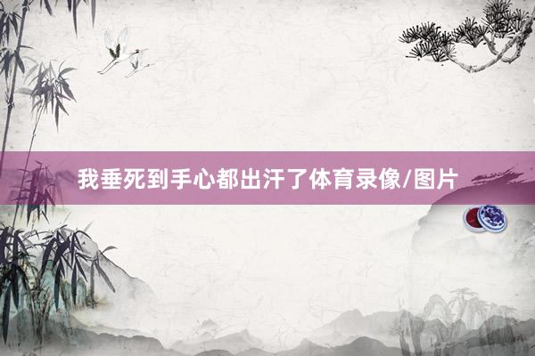 我垂死到手心都出汗了体育录像/图片