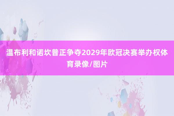 温布利和诺坎普正争夺2029年欧冠决赛举办权体育录像/图片